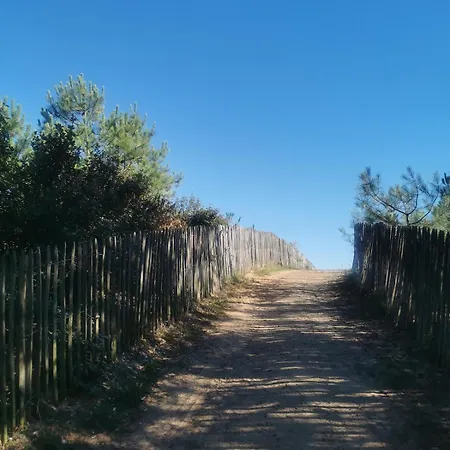 Dağ evi Mh Les Mimosas Sur Terrain Prive En Pinede Sur