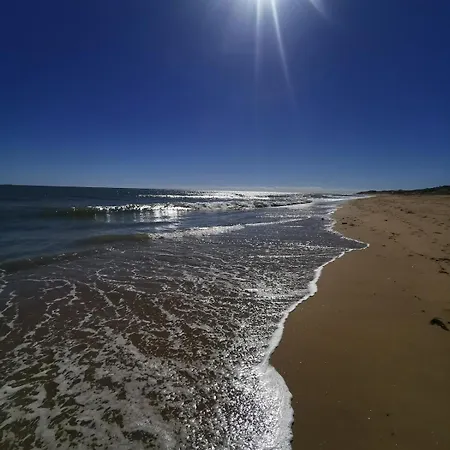 Mh Les Mimosas Sur Terrain Prive En Pinede Sur Horská chata *